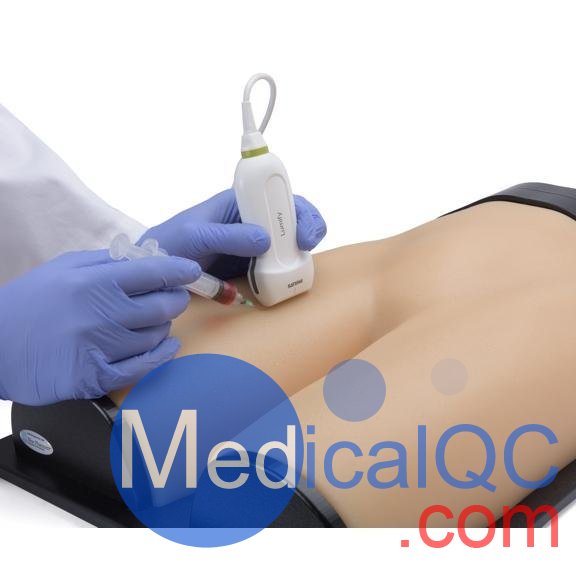 BPF1500-HP血管通路和區(qū)域麻醉超聲訓練模體，BPF1500-HP區(qū)域麻醉超聲模體