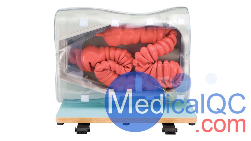 LM-107結腸鏡模擬器, LM-107內(nèi)窺鏡下消化道模體