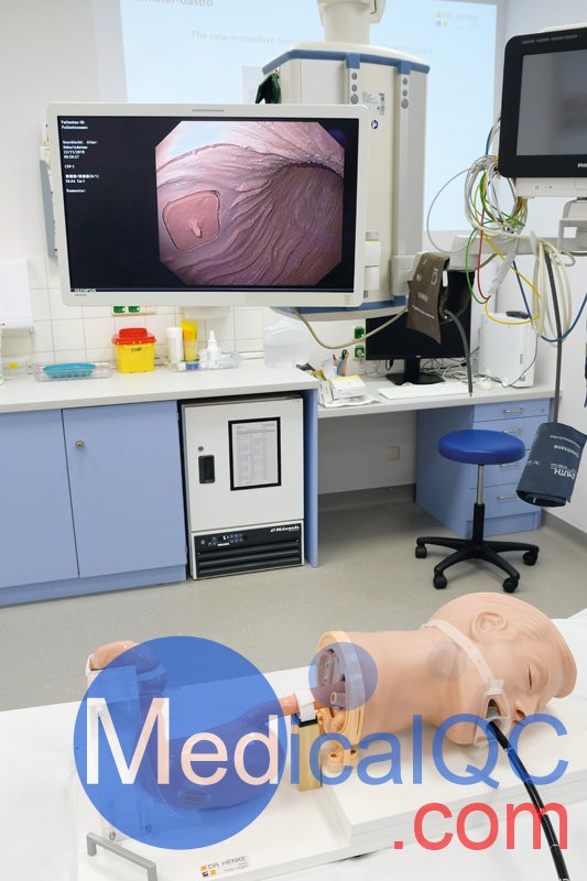 R21100胃模擬器,EGD胃鏡訓練模體,德國EZ胃模體