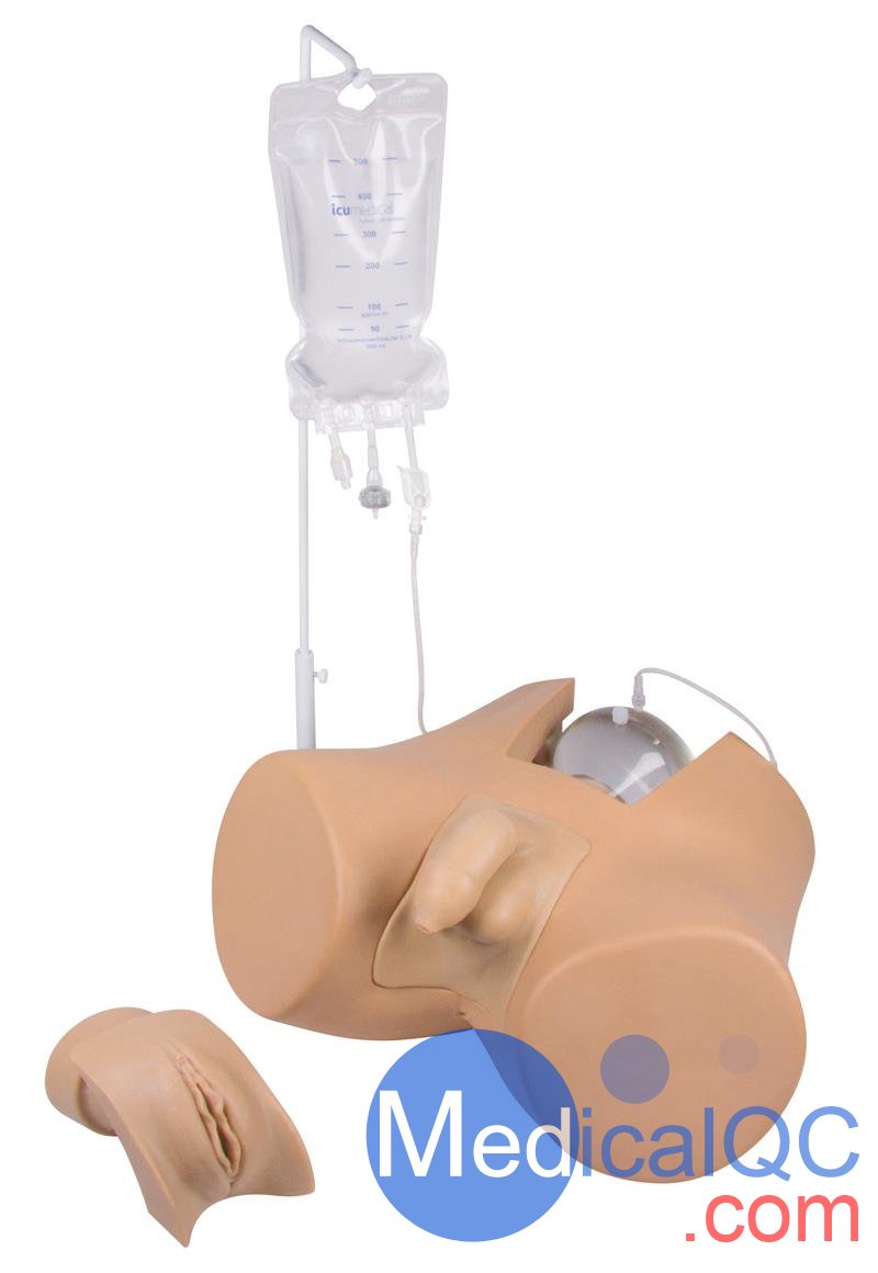 Henri Dunant膀胱插管模擬器，Nightingale導(dǎo)尿訓(xùn)練模體