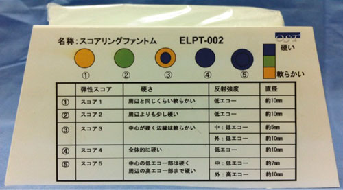 ELPT-002彈性成像模型，ELPT-002彈性成像模體
