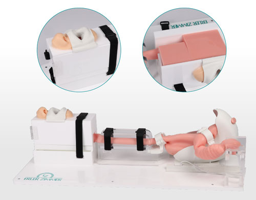 7150胃腸鏡模體，EGD模擬器，7150 EGD模體