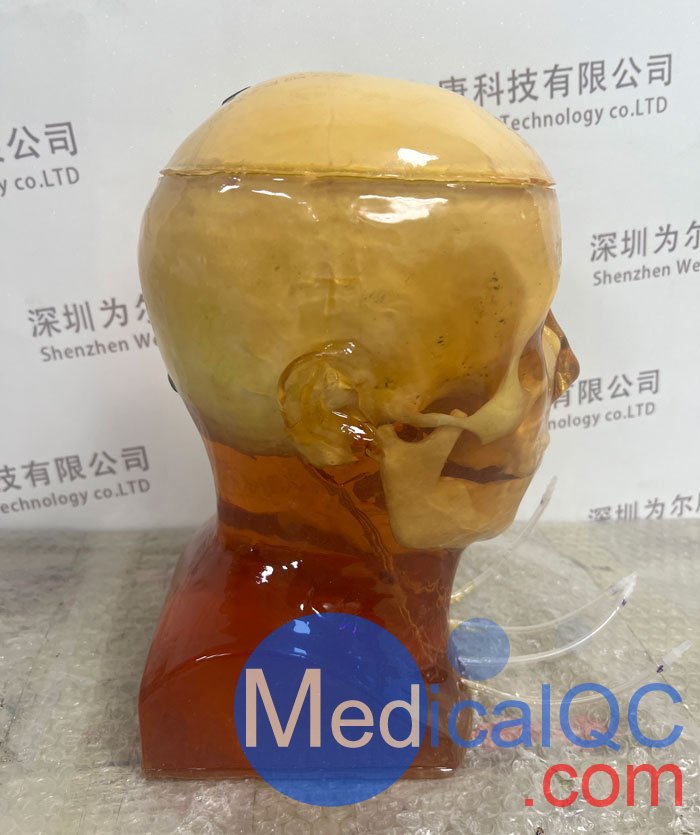HD-C03成人頭模，HD-C03血管造影頭模，HD-C03頭部模體實拍圖