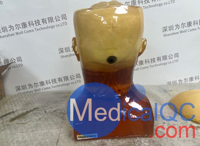 HD-C03成人頭模，HD-C03血管造影頭模，HD-C03頭部模體實拍圖