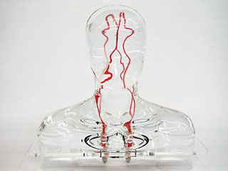 HB-1頭部血管模型，HB-1頭部體模，帶血管