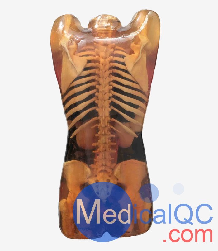 CT-A02成年女性軀干模體，CT-A02女性軀干模體